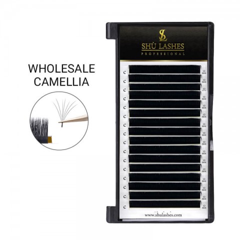 Wholesale Camellia Lash Extensions (16 Lines) Wholesale Camellia Lash Extensions (16 Lines)