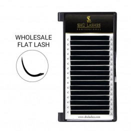 Wholesale Ellipse Flat Lashes (16 Lines)