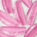 Lash Lift Curl Shields - Sunny Anime (4 Curls) Lash Lift Curl Shields - Sunny Anime (4 Curls)