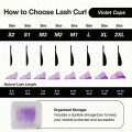 Lash Lift Curl Shields - Violet Caps (8 Curls)