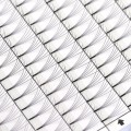 Crazy Sale Premade Volume Fans 5D Short Stem (12 Lines) Crazy Sale Premade Volume Fans 5D Short Stem (12 Lines)