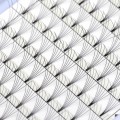 Crazy Sale Premade Volume Fans 6D Short Stem (12 Lines)