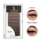 Angel Lash Extensions - 5D Wet & Wispy (16 Lines)