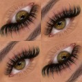 Angel Lash Extensions - Black 5D Wet & Wispy (16 Lines)