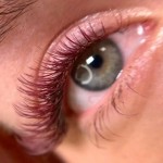 Deep Wine Volume Lashes Extensions (16 Lines)