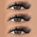 M Curl Volume Lashes (16 Lines)