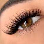 M Curl Volume Lashes (16 Lines)