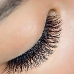 Volume Premade Fan YY Lashes (16 Lines)